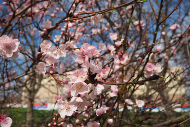 Similar image 21778903