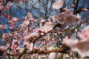 Similar image 21778904