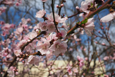 Similar image 21778905