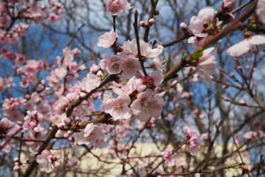 Similar image 21778906