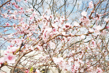 Similar image 21778908