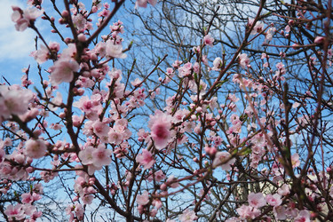 Similar image 21778910