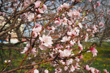 Similar image 21778911