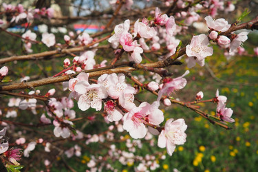 Similar image 21778912