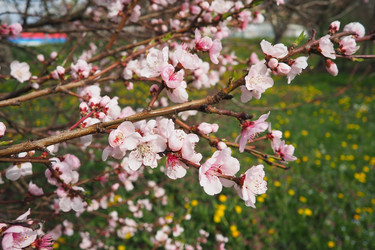 Similar image 21778914