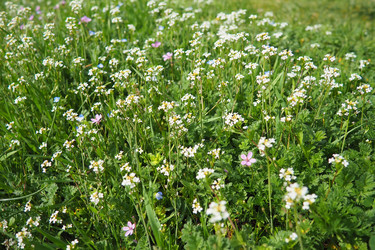 Similar image 21778915