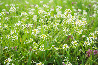 Similar image 21778917