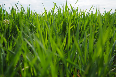 Similar image 21778922