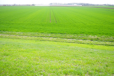 Similar image 21778928