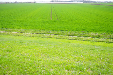 Similar image 21778930