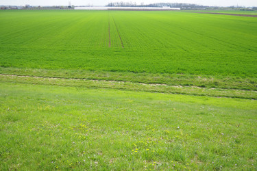 Similar image 21778931