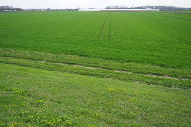 Similar image 21778932