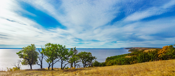 Similar image 21780843