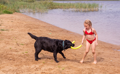 Similar image 21786772