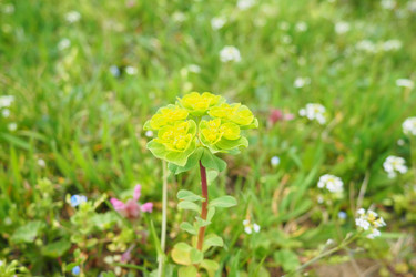 Similar image 21778935