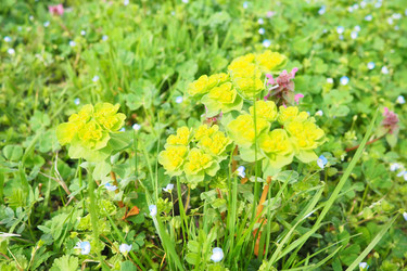 Similar image 21778936