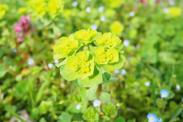 Similar image 21778937