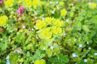 Similar image 21778938