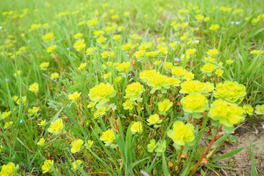 Similar image 21778939