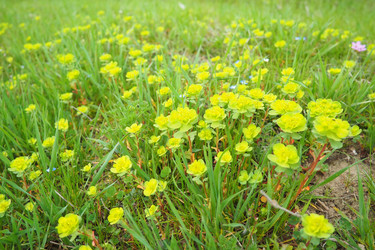 Similar image 21778940