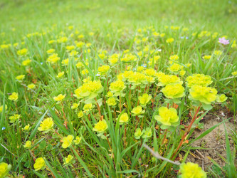 Similar image 21778942