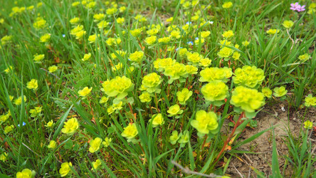 Similar image 21778944