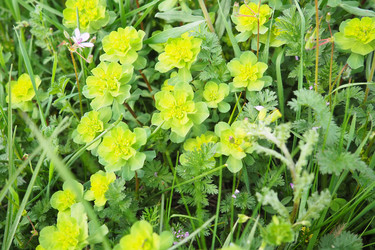 Similar image 21778946