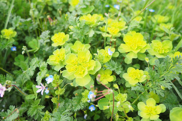 Similar image 21778947