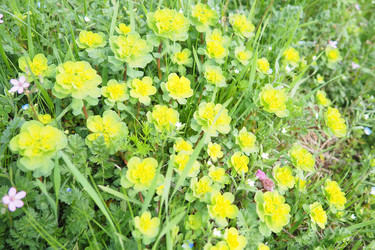 Similar image 21778948