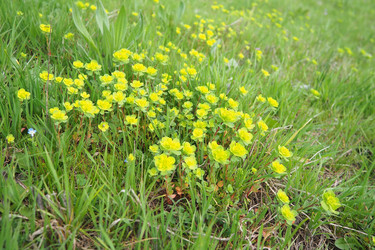 Similar image 21778950