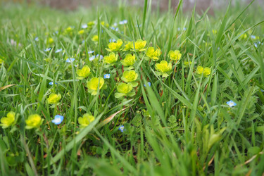 Similar image 21778951