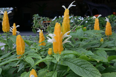 Similar image 21777507