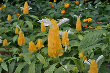 Similar image 21777508