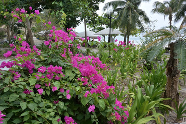 Similar image 21777513