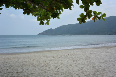 Similar image 21777524