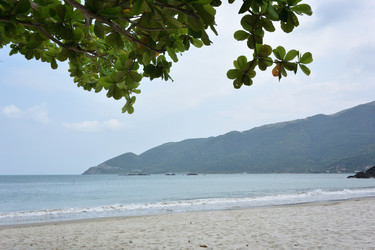 Similar image 21777525