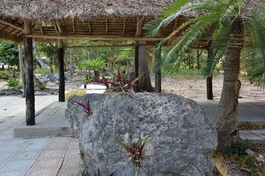 Similar image 21777526