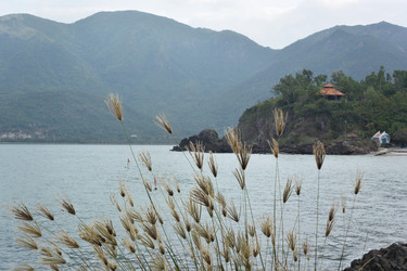 Similar image 21777534