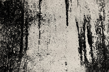 Similar image 21778952