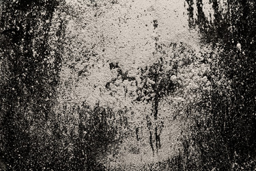 Similar image 21777544