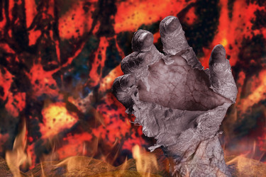 Similar image 21779623