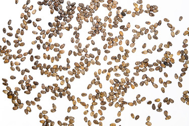 Similar image 21777550