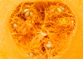 Similar image 21777552