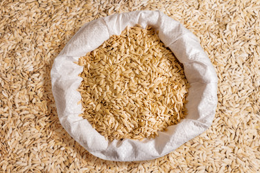 Similar image 21779626