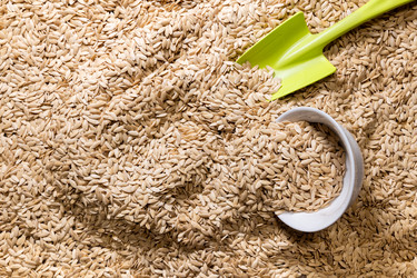 Similar image 21777554