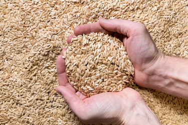 Similar image 21777555