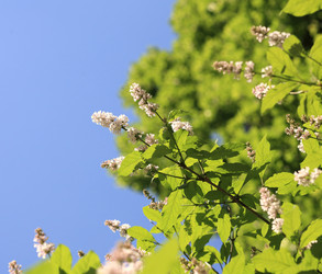 Similar image 21777390