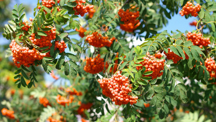 Similar image 21777393