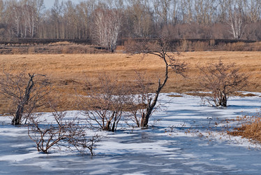 Similar image 21785789