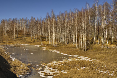 Similar image 21785790